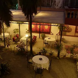 Hotel Lion